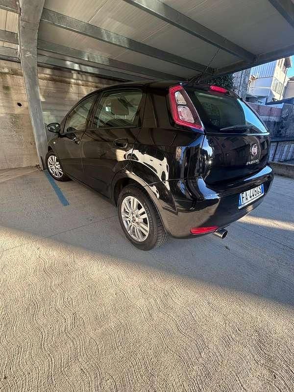 Usata Fiat Punto Young 69 CV (50 kW) 2015 Nero Utilitaria