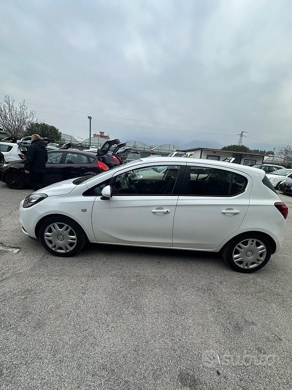 Usata Opel Corsa Innovation 69 CV (50 kW) 2017 Bianco Utilitaria