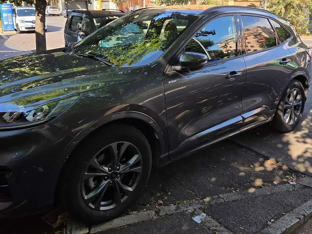 Usata Ford Kuga ST-Line 152 CV (111 kW) 2023 Grigio SUV