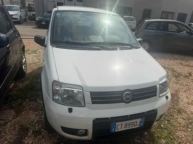 Usata Fiat Panda 4x4 Climbing 59 CV (43 kW) 2005 Bianco Utilitaria