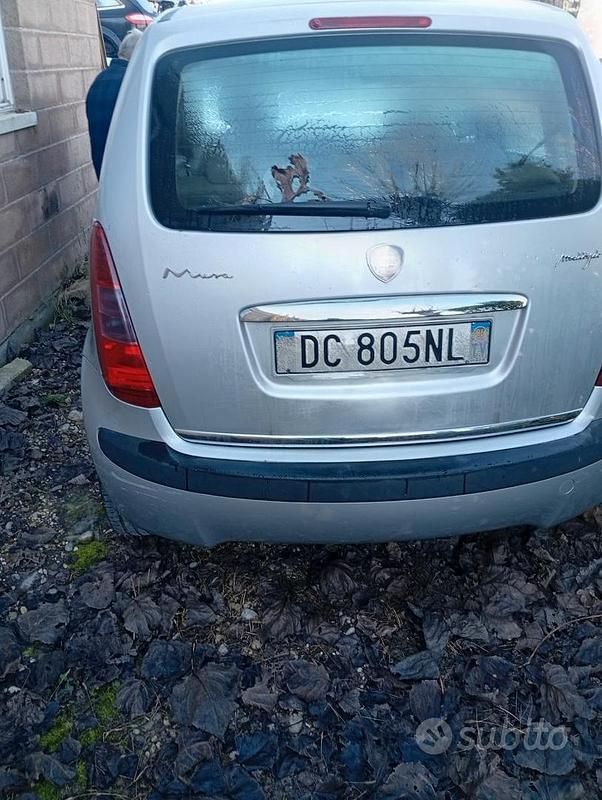 Usata Lancia Ypsilon 60 CV (44 kW) 2006 Utilitaria