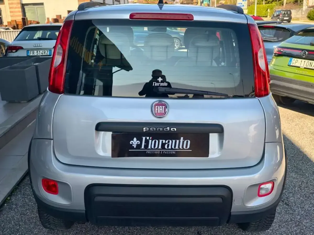Usata Fiat Panda 4x4 Trekking 75 CV (55 kW) 2015 Argento Utilitaria