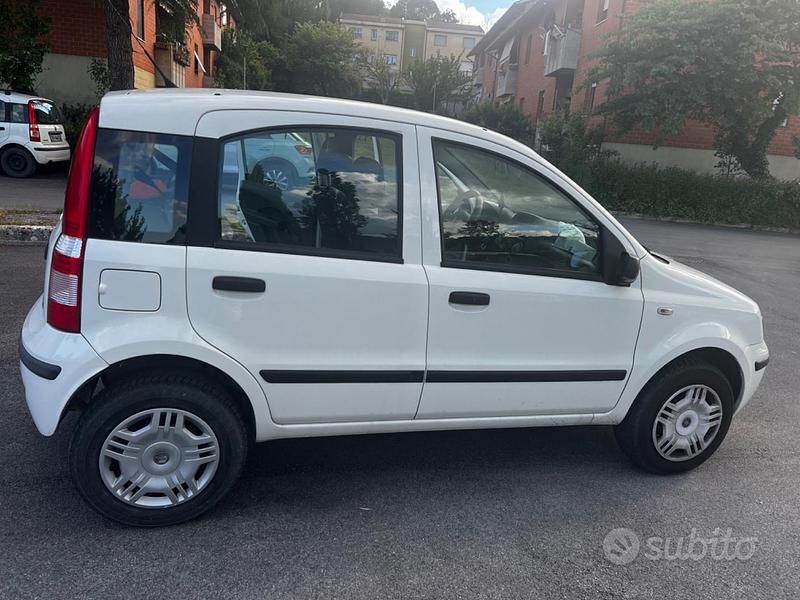 Usata Fiat Panda 2008 Bianco Utilitaria