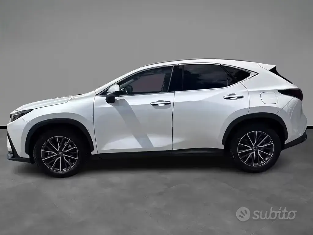 Usata Lexus NX350h 190 CV (139 kW) 2023 Bianco SUV