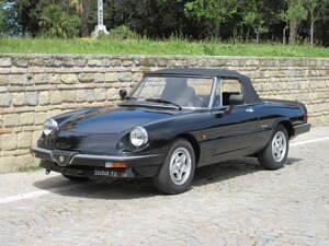 Usata Alfa Romeo Spider Quadrifoglio Verde 125 CV (91 kW) 1988 Nero Cabrio