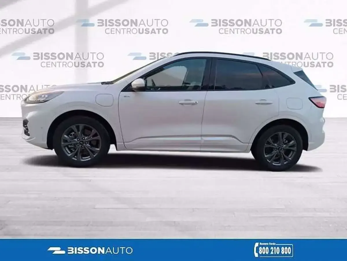 Usata Ford Kuga ST-Line 152 CV (111 kW) 2021 Bianco SUV