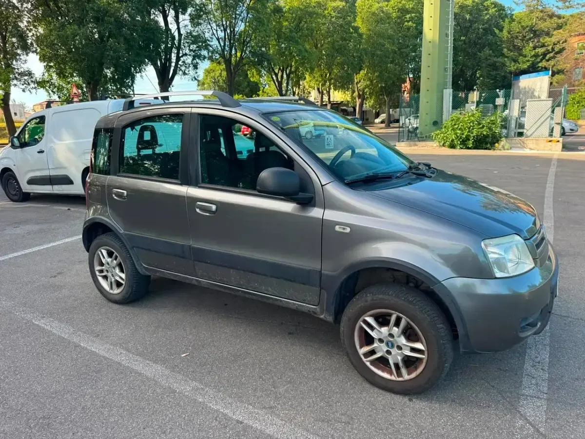 Usata Fiat Panda 4x4 Climbing 69 CV (50 kW) 2010 Utilitaria