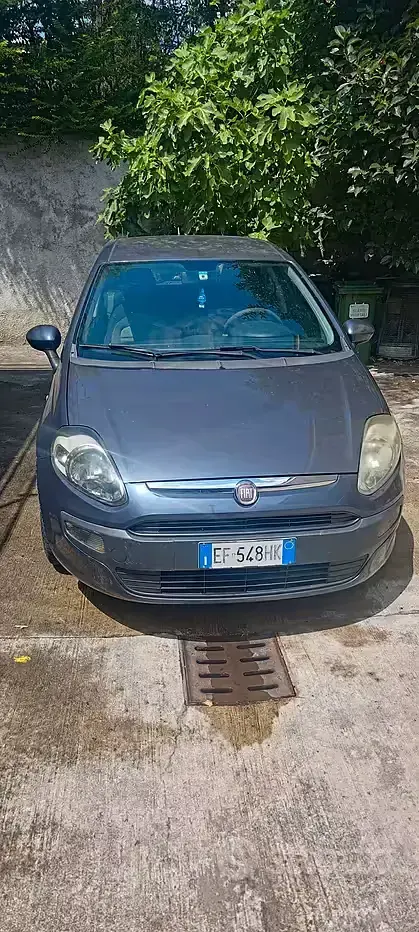 Usata Fiat Punto Evo 95 CV (69 kW) 2010 Grigio Utilitaria