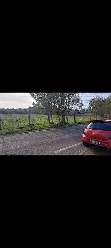 Usata Suzuki Swift GL 125 CV (91 kW) 2008 Rosso Utilitaria