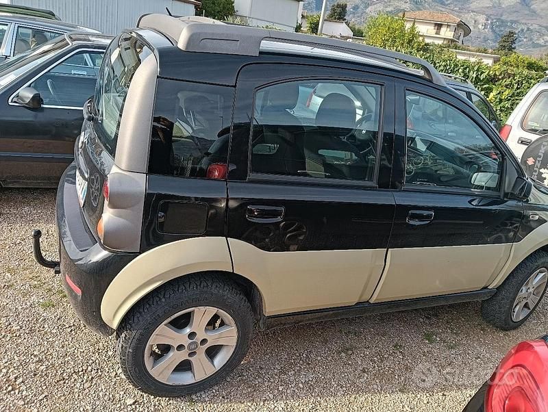 Usata Fiat Panda 4x4 95 CV (69 kW) 2008 Marrone Utilitaria