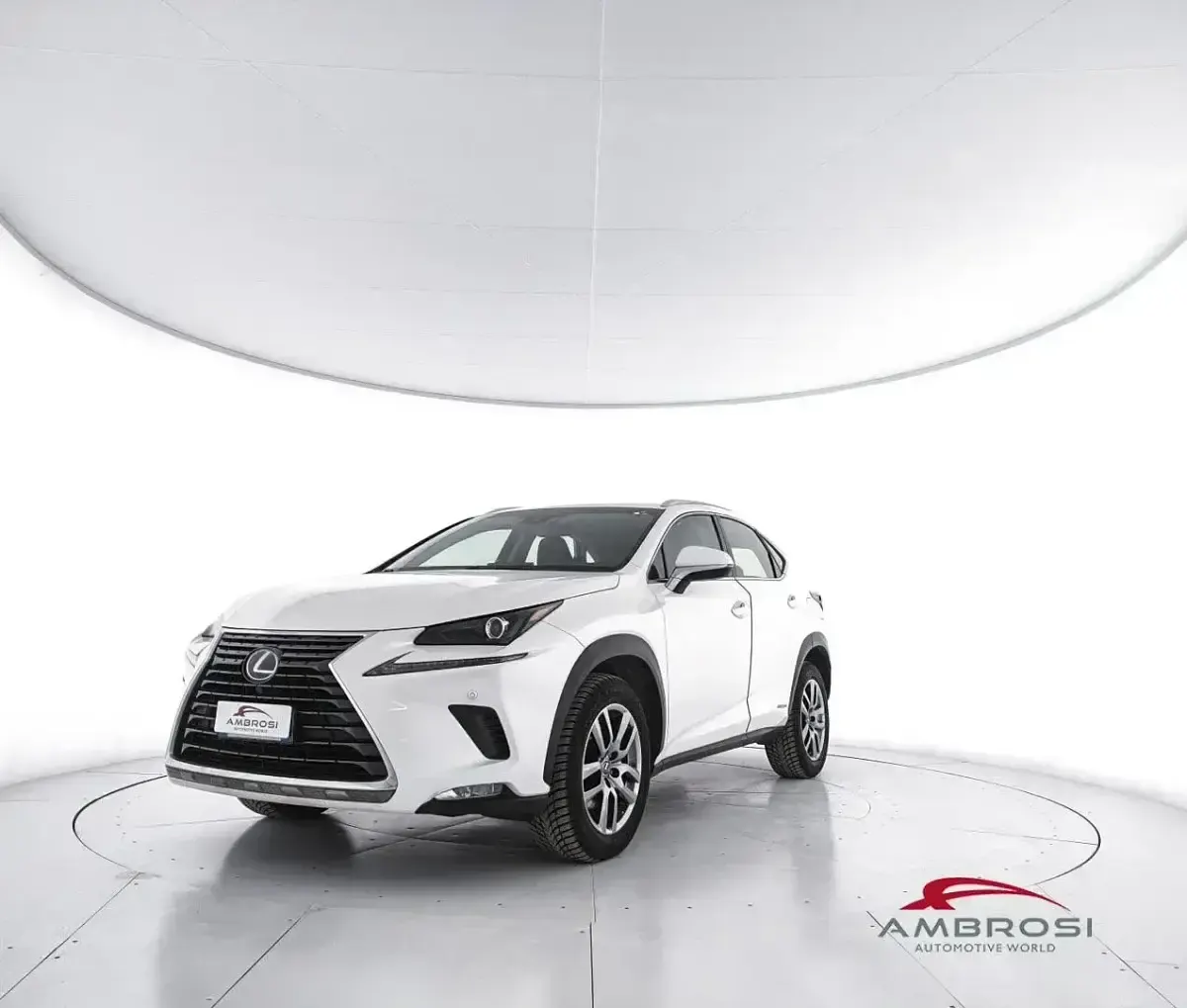 Usata Lexus NX300h Executive Line 155 CV (114 kW) 2018 SUV