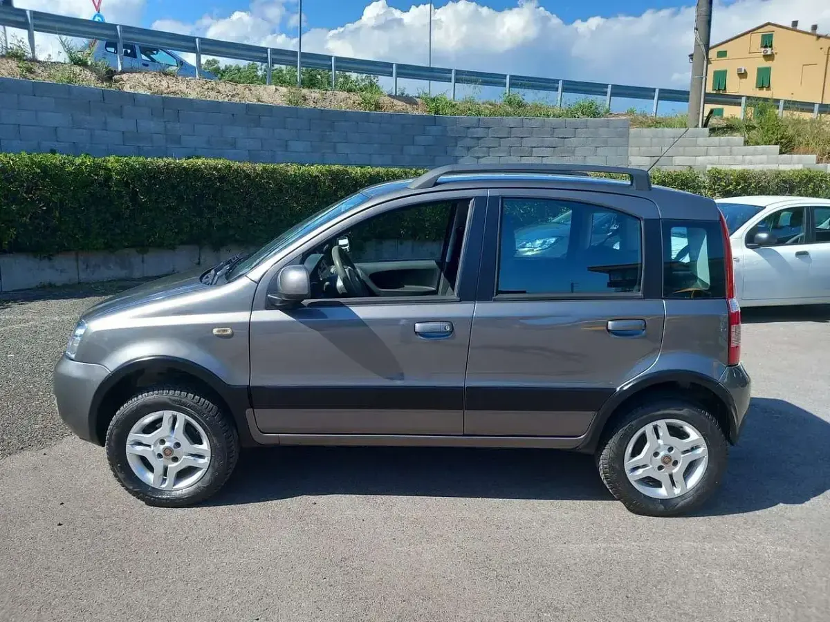 Usata Fiat Panda 4x4 Climbing 75 CV (55 kW) 2013 Grigio Utilitaria
