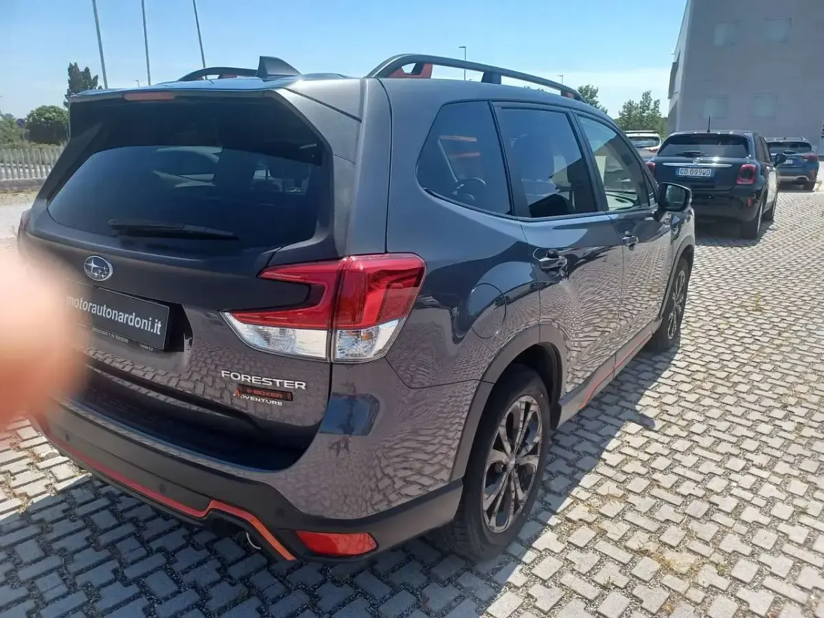 Usata Subaru Forester 4dventure 150 CV (110 kW) 2023 Grigio SUV