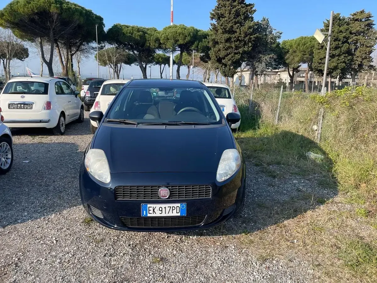 Usata Fiat Punto Active 60 CV (44 kW) 2011 Blu Utilitaria