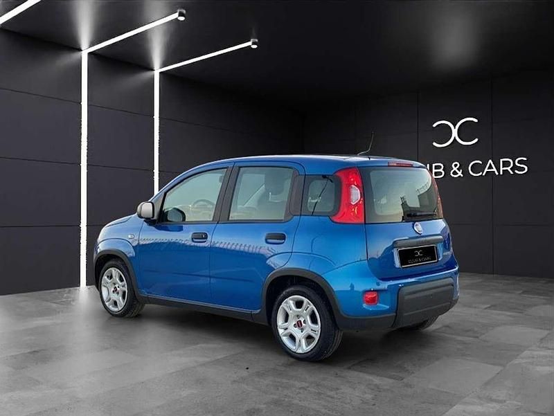 Usata Fiat Panda City Life 69 CV (50 kW) 2024 Blu met Utilitaria