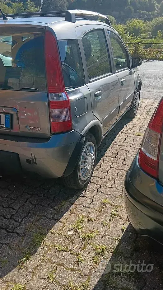 Usata Fiat Panda Climbing 60 CV (44 kW) 2009 Marrone Utilitaria