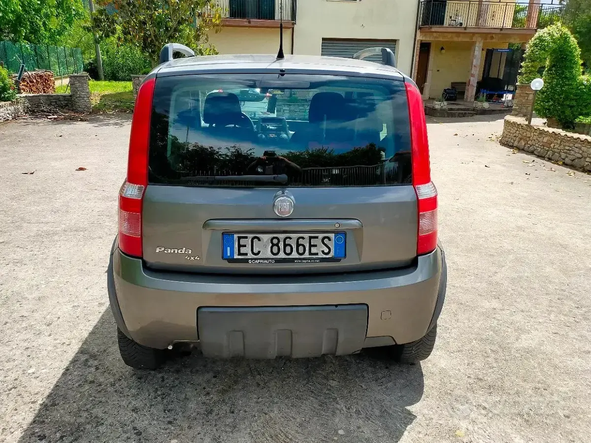 Usata Fiat Panda 4x4 Climbing 69 CV (50 kW) 2010 Grigio Utilitaria