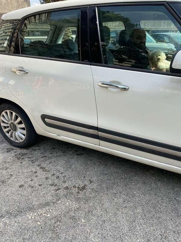 Usata Fiat 500L Urban 95 CV (69 kW) 2016 Bianco Monovolume