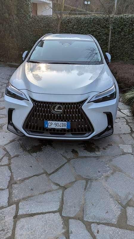 Usata Lexus NX350h 190 CV (139 kW) 2023 Bianco SUV