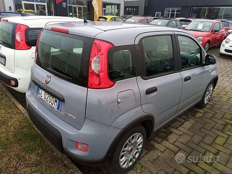 Usata Fiat Panda S 70 CV (51 kW) 2022 Grigio Utilitaria
