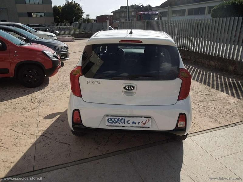 Usata Kia Picanto 68 CV (50 kW) 2015 Bianco Utilitaria