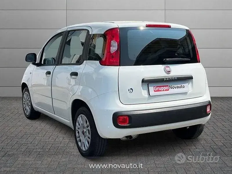 Usata Fiat Panda Easy 69 CV (50 kW) 2021 Bianco Utilitaria