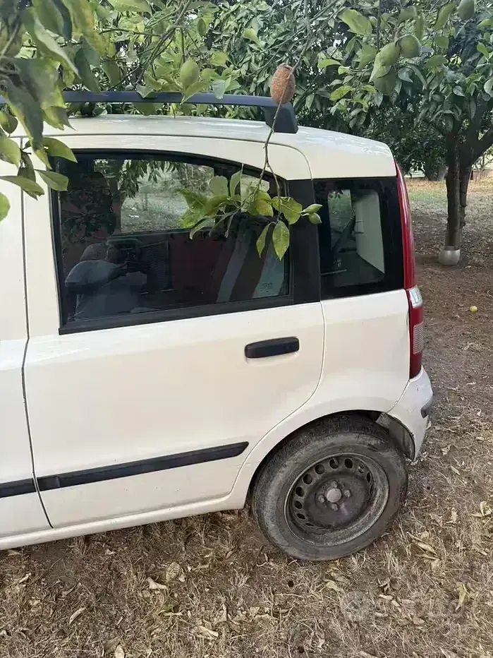 Usata Fiat Panda 60 CV (44 kW) 2009 Bianco Utilitaria