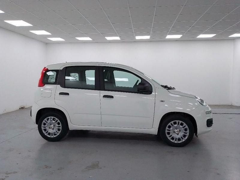 Nuova Fiat Panda Pop 69 CV (50 kW) 2025 Bianco Berlina