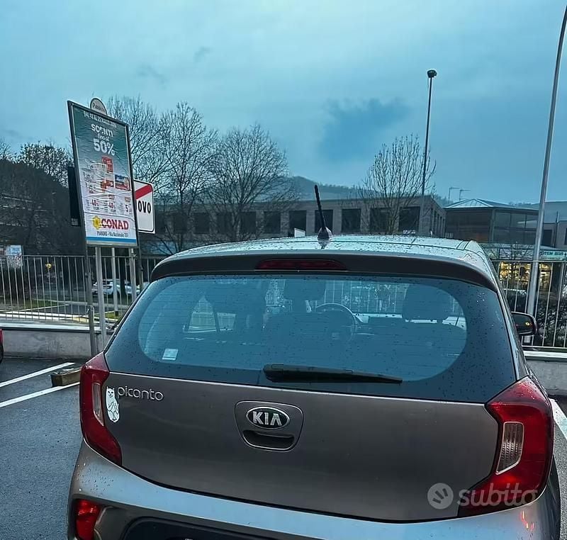 Usata Kia Picanto 2019 Grigio Utilitaria