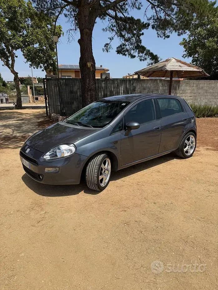 Usata Fiat Punto Lounge 69 CV (50 kW) 2014 Grigio Utilitaria