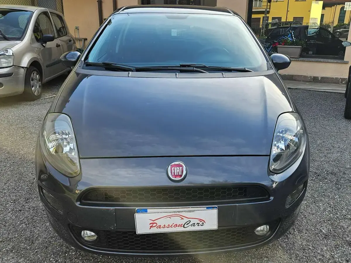 Usata Fiat Punto Lounge 69 CV (50 kW) 2015 Grigio Utilitaria