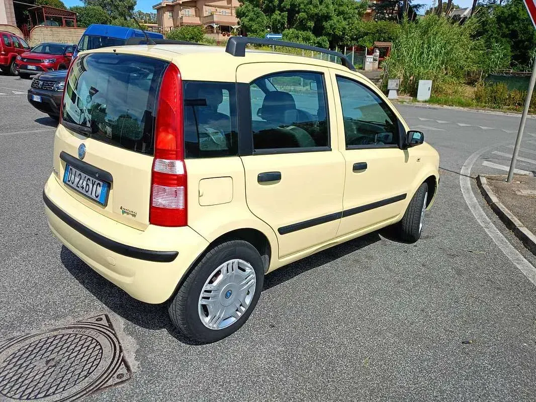Usata Fiat Panda Dynamic 60 CV (44 kW) 2007 Giallo Utilitaria