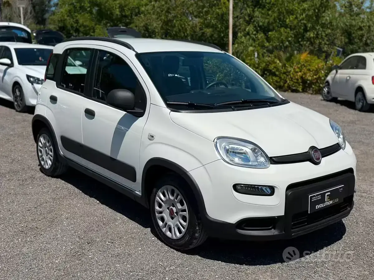 Usata Fiat Panda 70 CV (51 kW) 2024 Bianco Utilitaria