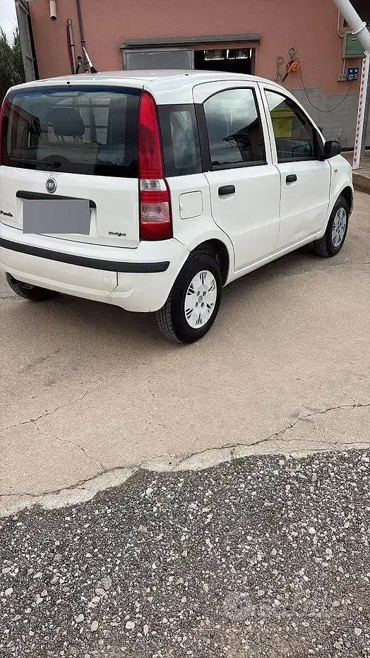 Usata Fiat Panda 69 CV (50 kW) 2007 Bianco Utilitaria
