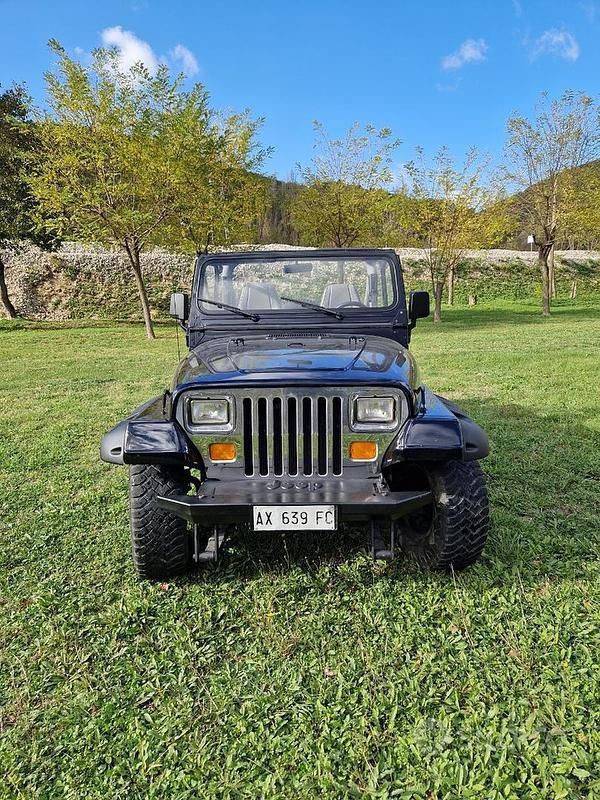 Usata Jeep Wrangler 1991 Nero SUV