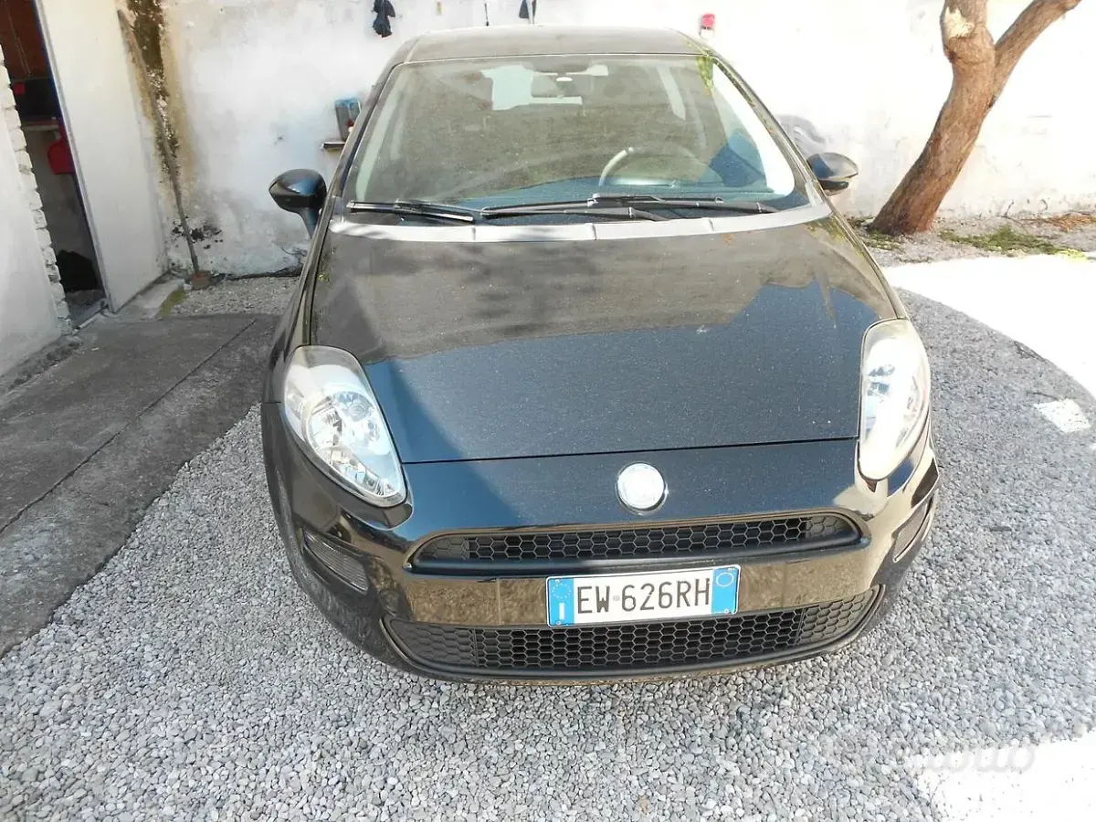 Usata Fiat Punto Street 70 CV (51 kW) 2014 Utilitaria