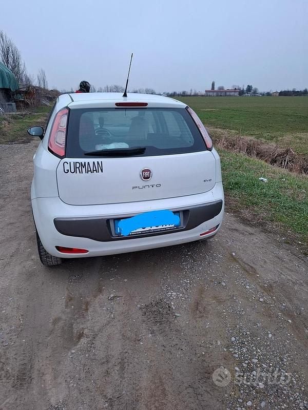 Usata Fiat Punto Evo 2010 Bianco Utilitaria