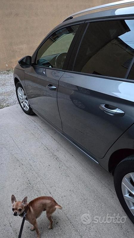 Usata Skoda Kamiq 90 CV (66 kW) 2022 Grigio SUV