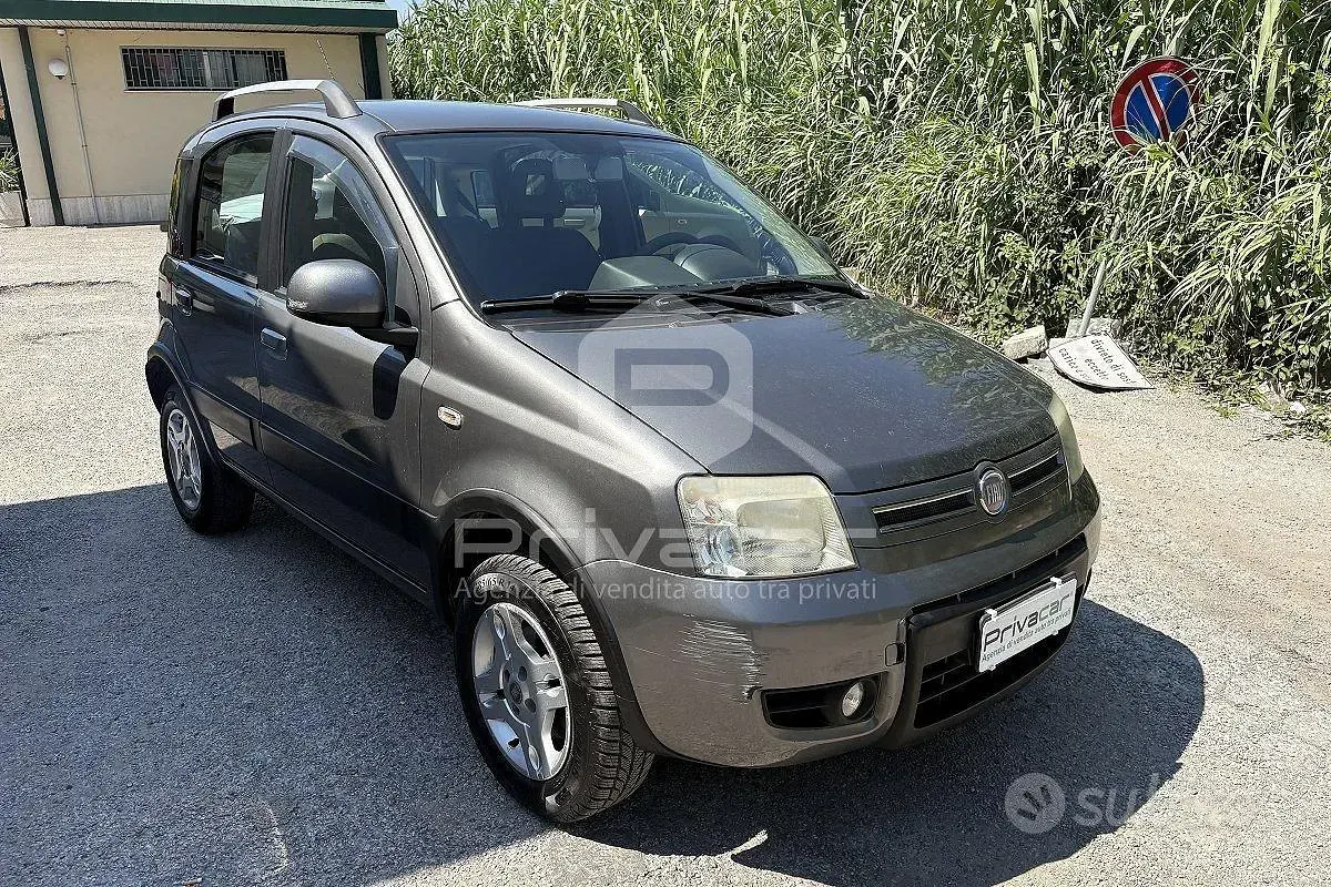 Usata Fiat Panda 4x4 Climbing 75 CV (55 kW) 2011 Grigio Utilitaria