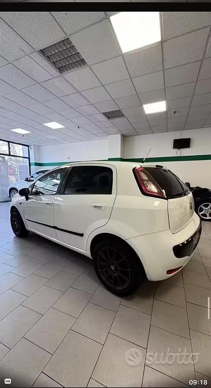 Usata Fiat Punto Evo 69 CV (50 kW) 2010 Bianco Utilitaria