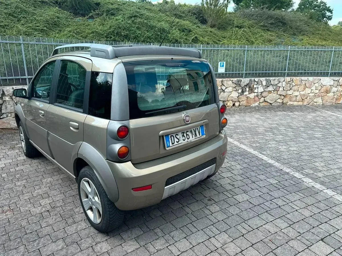 Usata Fiat Panda 4x4 Cross 69 CV (50 kW) 2008 Marrone Utilitaria