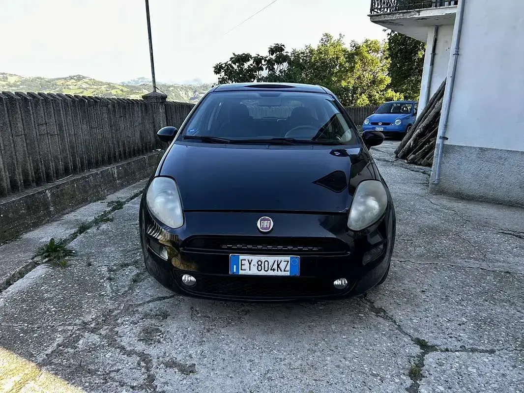 Usata Fiat Punto Lounge 77 CV (56 kW) 2015 Utilitaria