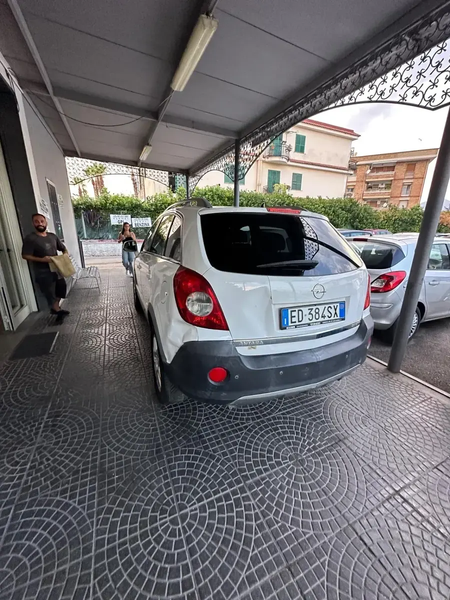 Usata Opel Antara Cosmo 149 CV (109 kW) 2010 Bianco SUV