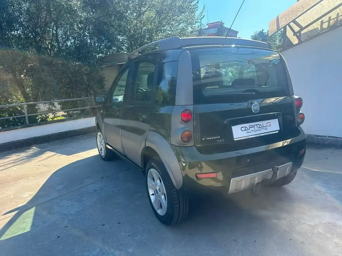 Usata Fiat Panda 4x4 Cross 69 CV (50 kW) 2007 Verde Utilitaria