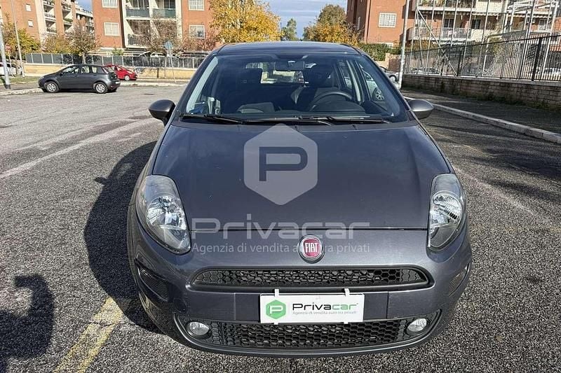 Usata Fiat Punto Young 77 CV (56 kW) 2015 Blu Berlina