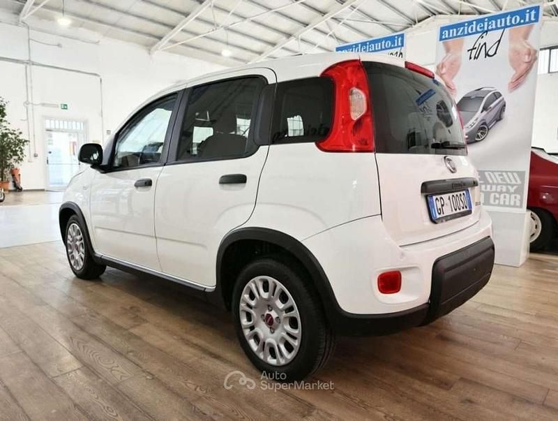 Usata Fiat Panda 69 CV (50 kW) 2023 Bianco Utilitaria