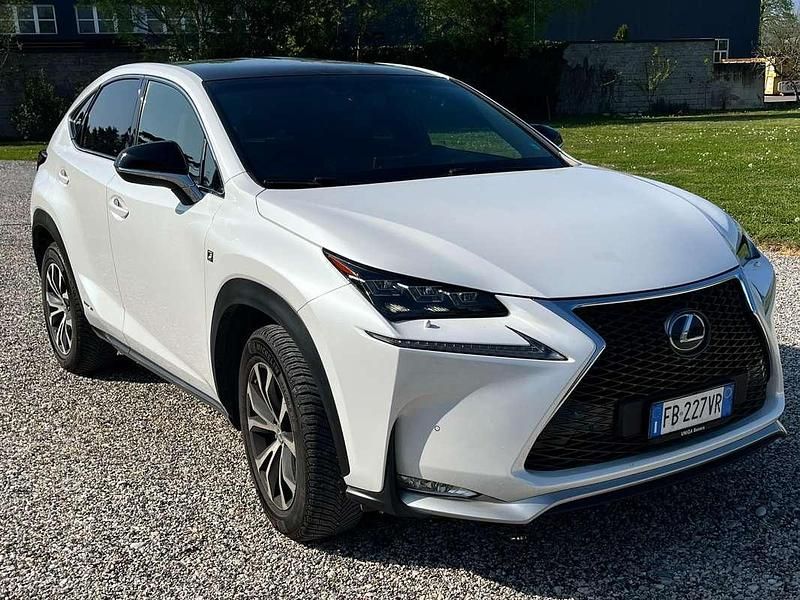 Usata Lexus NX300h Sport Line 155 CV (114 kW) 2015 Bianco SUV
