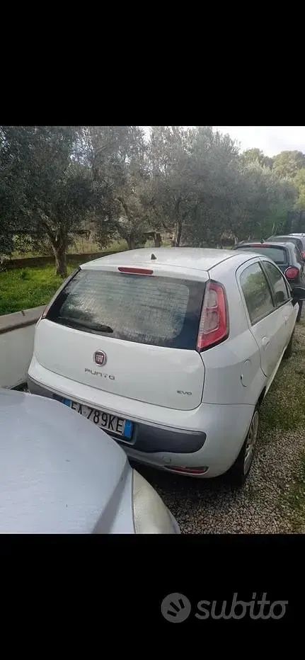 Usata Fiat Punto Evo 77 CV (56 kW) 2010 Bianco Utilitaria