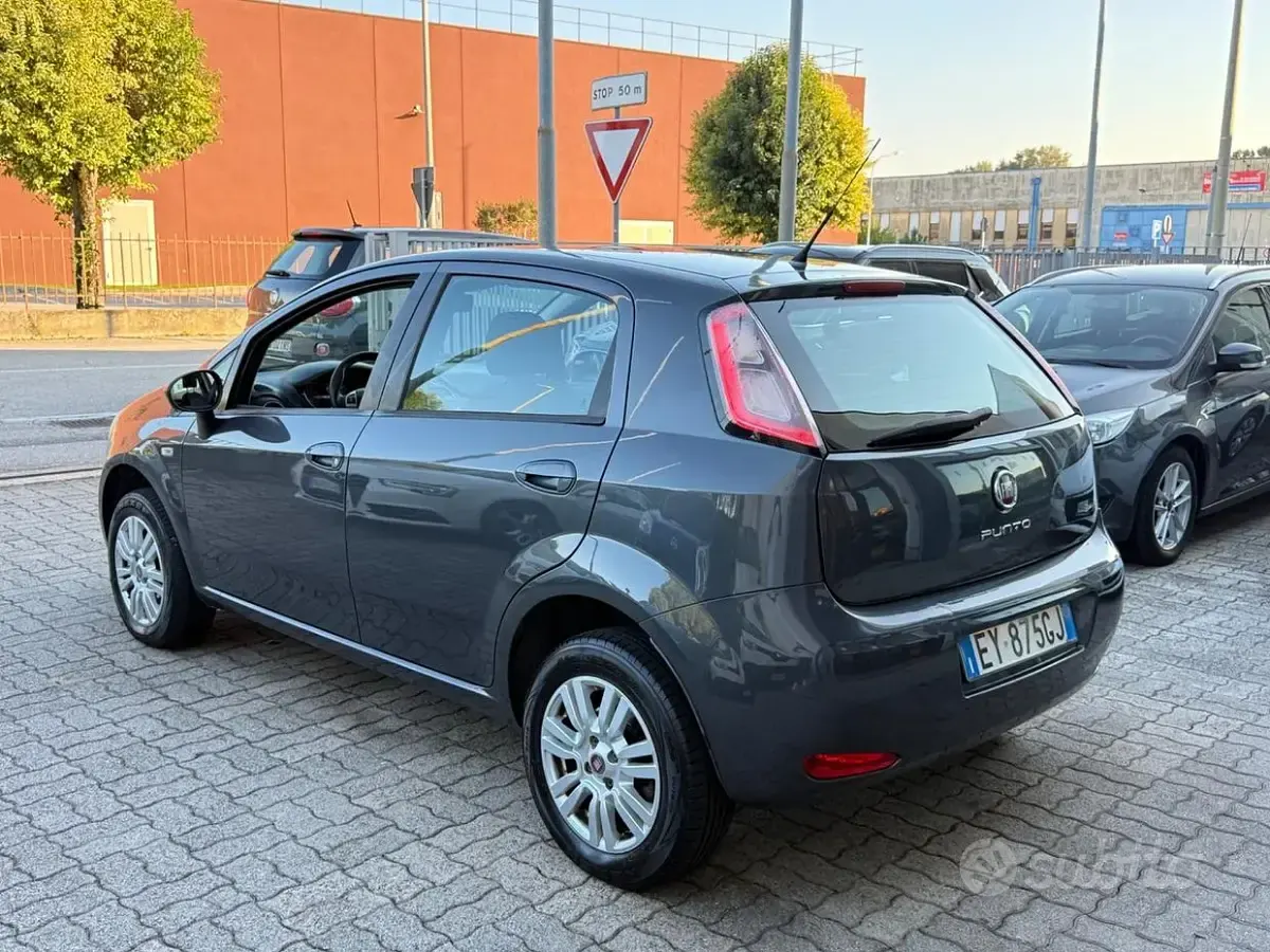 Usata Fiat Punto Evo Lounge 70 CV (51 kW) 2015 Grigio Utilitaria