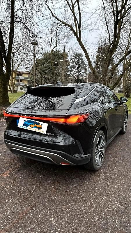 Usata Lexus RX450h+ Executive Line 184 CV (135 kW) 2023 Viola SUV